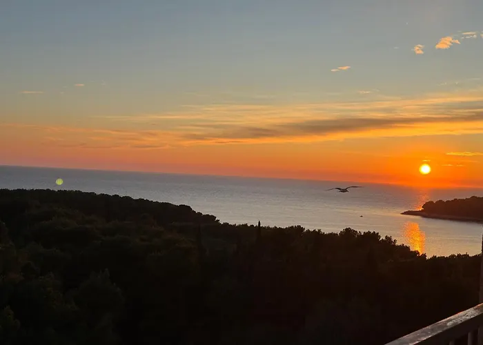 Panoramic * بولا