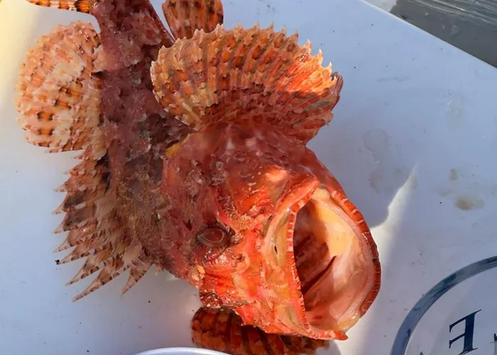 شقة Panoramic بولا