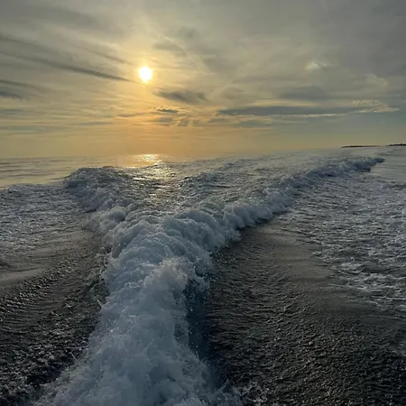 Panoramic * 풀라